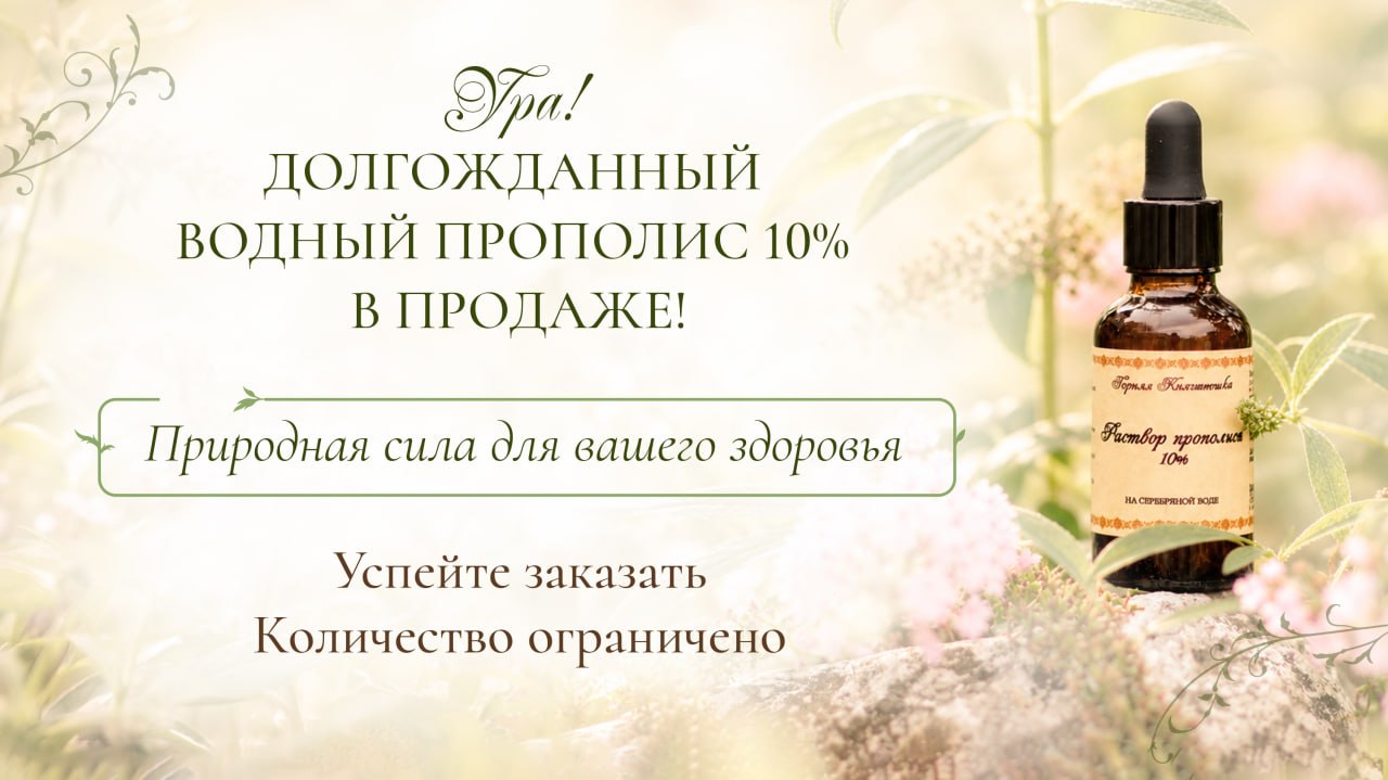 Сново в продаже!